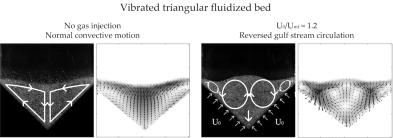 Reversal of gulf stream circulation in a vertically vibrated triangular fluidized bed