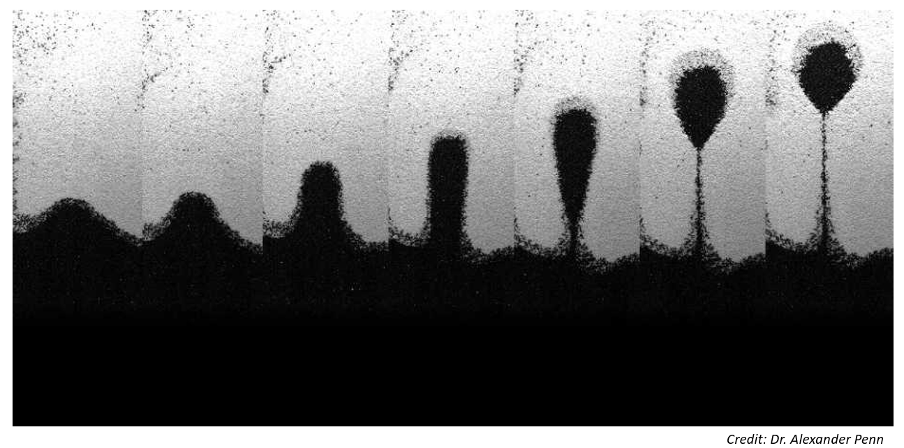 Enlarged view: Gravitational instabilities in binary granular materials