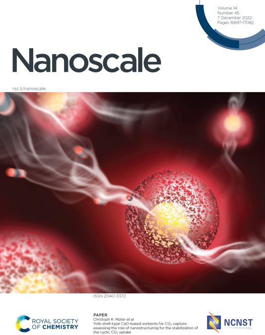 Enlarged view: nanoscale_december_cover